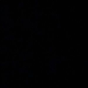 Meet your Posher, Benjy